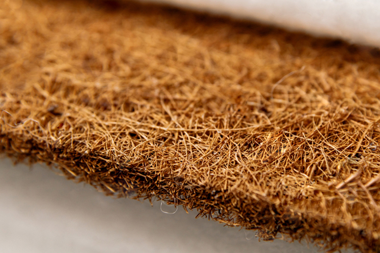 Coconut fibre